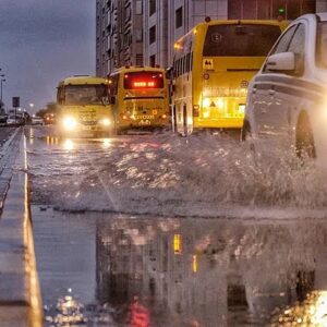 2ffbe36f 2893 4a13 81a0 5a0ade9efee7 org