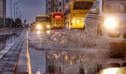 2ffbe36f 2893 4a13 81a0 5a0ade9efee7 org