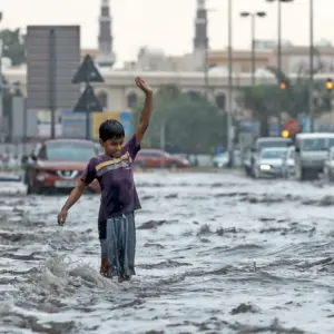 891067e0 959c 4b27 a0ba 4640f1df5d3e org 1