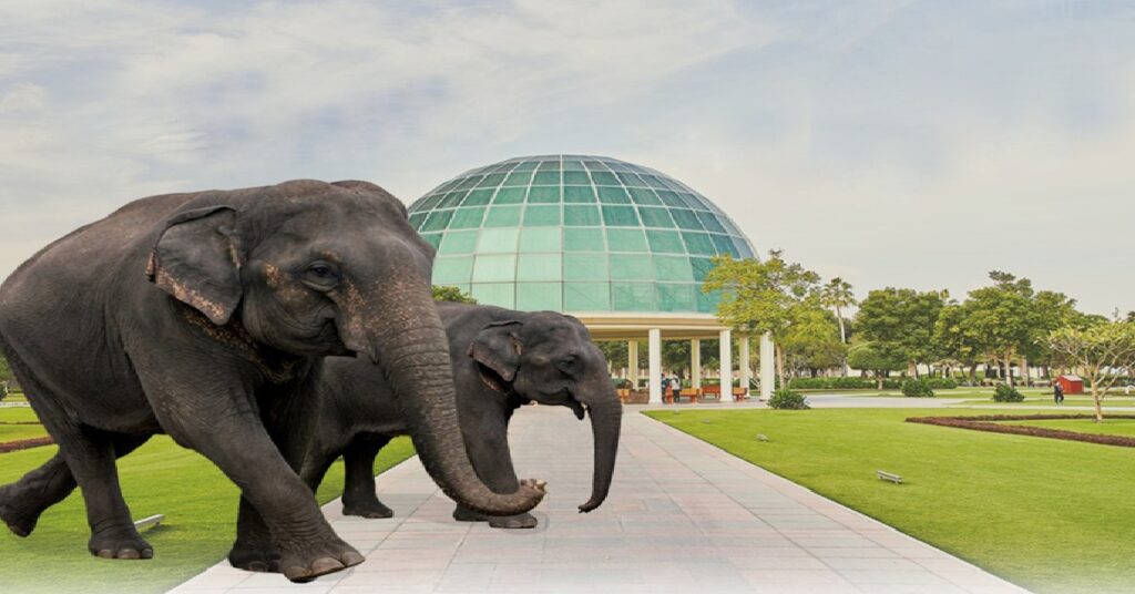 Qatar winter solstice ശരത്ക്കാലത്തിന് വിട; ഖത്തറിൽ നാളെ മുതൽ ശൈത്യക്കാലം , പകലിന് ദൈർഘ്യം കുറയും 2 elephent