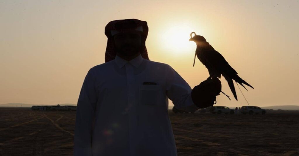 qatar birds