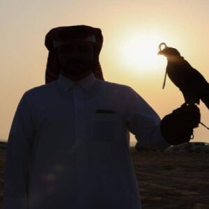 qatar birds