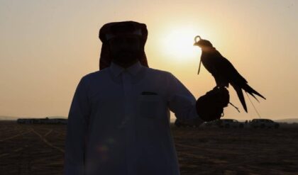 qatar birds
