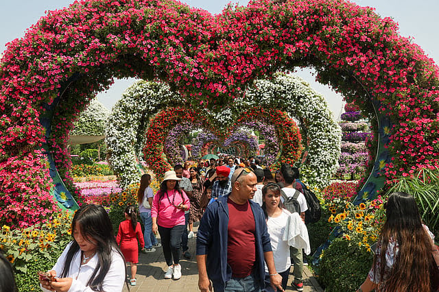 Miracle garden dubai;മിറക്കിൾ ഗാർഡൻ വീണ്ടും തുറന്നു; ഇനി ‘ഫ്രീ’ എൻട്രിയില്ല, ഇളവോടെ ടിക്കറ്റ് നിരക്ക്!നിരക്ക് ഇങ്ങനെ 1 274652