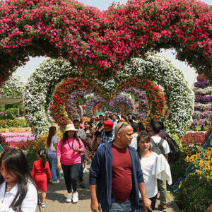 gulfnews 2026 03 15 c4gv1p7v STAFFNAT 260315 Miracle Garden VSAKLANI 151773572463922 1