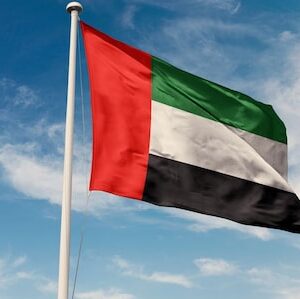 uae foreign ministry statement on recent attacks uae flag