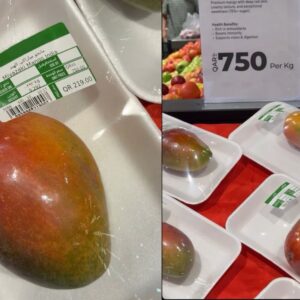 qatar-expensive-mango-price