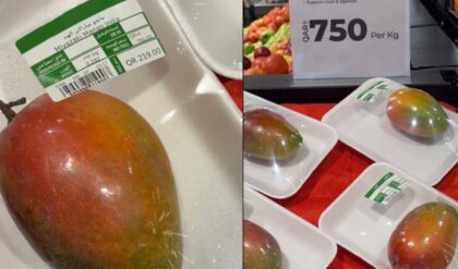 qatar-expensive-mango-price