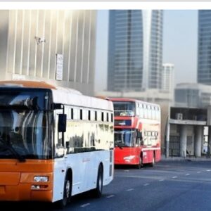 bus 1