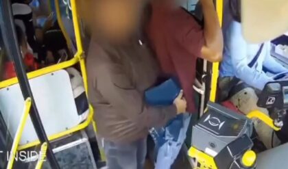 bus