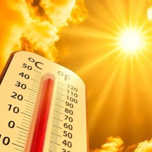 431514