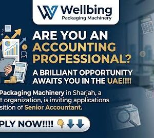 Senior Accountant reviewing financial reports and business performance data in a modern corporate office at Wellbing Packaging Machinery, Sharjah Airport International Free Zone, UAE.