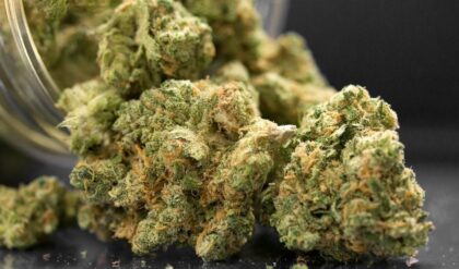 marijuana
