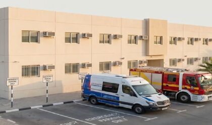 uae parking