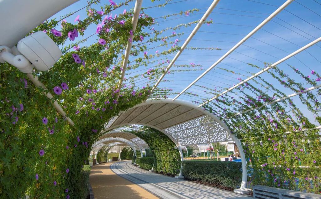 Stay Cool Outdoors: Qatar Opens Air-Conditioned Parks ചൂടിനെ പേടിച്ച് വീട്ടിലിരിക്കേണ്ട; എയർ കണ്ടീഷൻഡ് ഔട്ട്ഡോർ പാർക്കുകൾ തയ്യാർ 1 AIR CONDITIONED PARK 1 e1784512061579