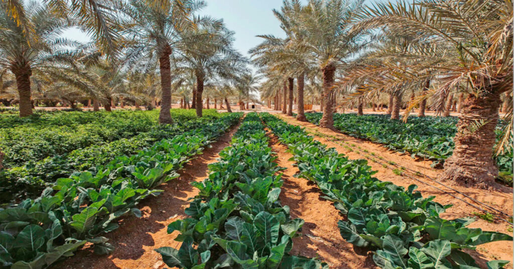 Agriculture 1