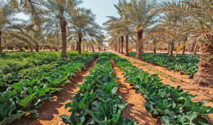 Agriculture 1