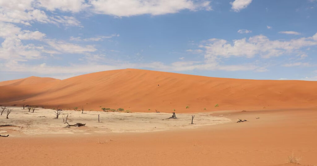 Warns 50-degree Celsius heat dust storms Saudi Arabia's eastern province വെന്തുരുകി സൗദി'; ഉയര്ന്ന താപനില തുടരുമെന്ന് മുന്നറിയിപ്പ് 1 Desert