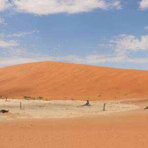 Desert