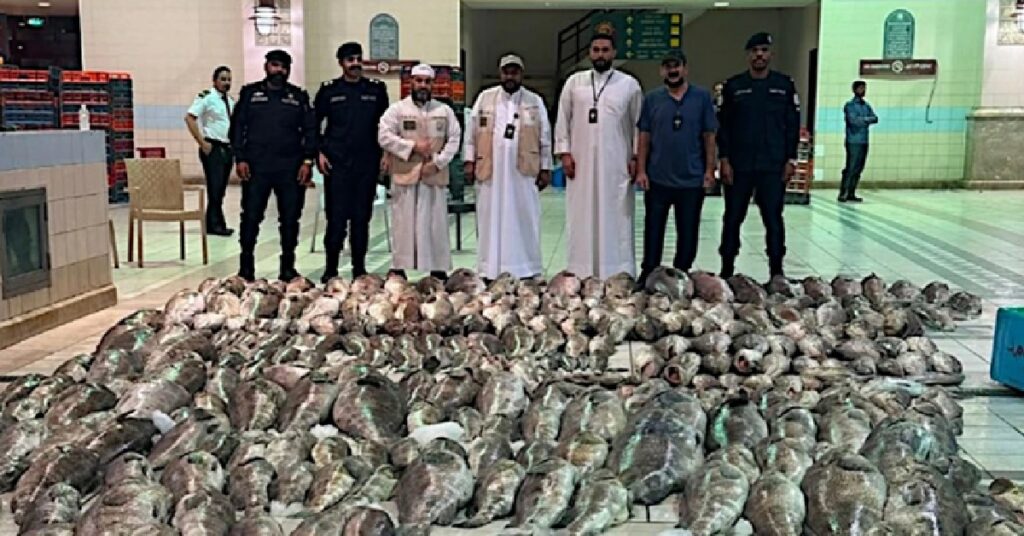 Kuwait Spoiled Fish Seizure :കുവൈത്തിൽ 3.2 ടണ്ണിലധികം കേടായ മത്സ്യം പിടിച്ചെടുത്തു; വിൽപ്പന തടഞ്ഞ് അധികൃതർ 1 FISH 455