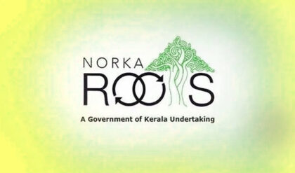 Norka Roots 1