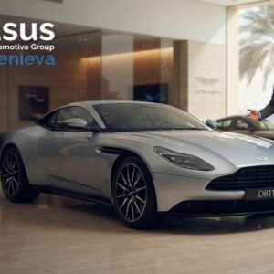 Pegasus Automotive Group Geneva recruitment for Sales Executive (English/Arabic Speaker) in the UAE.