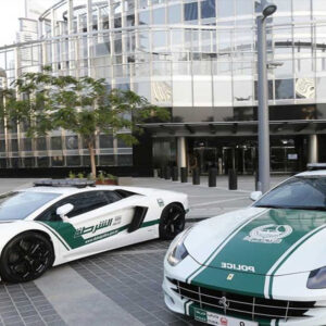 dubai police