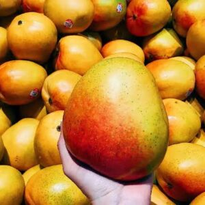 images 5