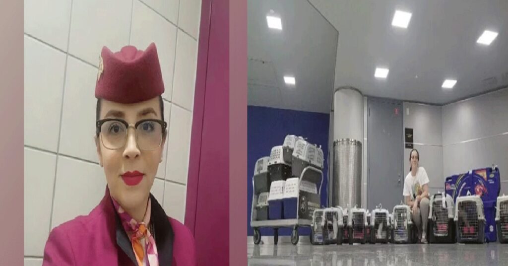 Qatar Airways Cabin Crew :തെരുവുകളിൽ ഉപേക്ഷിക്കപ്പെട്ട 31 പൂച്ചകളുമായി ദോഹയിൽ നിന്ന് ന്യൂയോർക്കിലേക്ക് അവൾ പറന്നു ; ഔദ്യോഗിക ജീവിതം10 വർഷം പൂർത്തിയാക്കിയ ആ ദിനം അവൾ അങ്ങെനെ ആഘോഷമാക്കി 1 qatar air