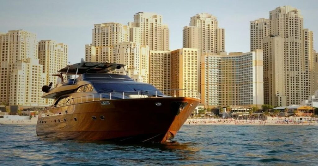 qatar new