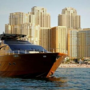 qatar new