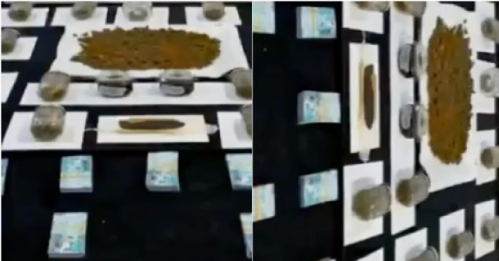 Kuwait drug arrest : വീട്ടിൽ കഞ്ചാവ് കൃഷി ; വിൽപ്പന, ഒടുവിൽ കുടുങ്ങി 1 KANJAV