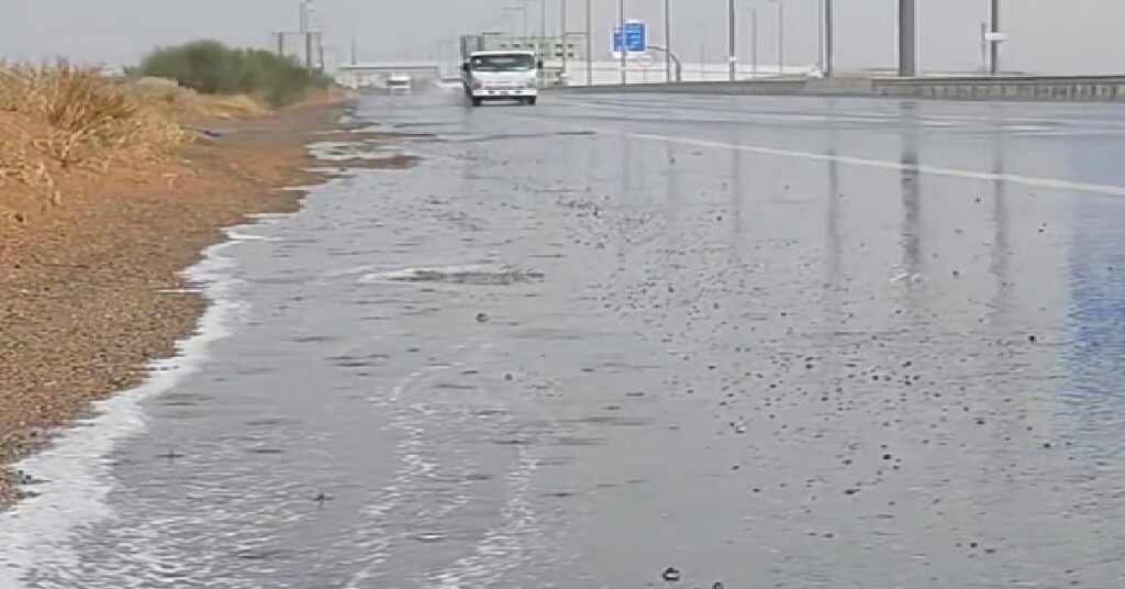UAE weather forecast : അവിടെ ചൂട് ഇവിടെ മഴ ; ഷാർജയിൽ ശക്തമായ മഴ , വരും ദിവസങ്ങളിലും രാജ്യത്തിന്റെ വിവിധ ഭാഗങ്ങളിൽ മഴയ്ക്കും കാറ്റിനും സാധ്യത 1 RAIN 1