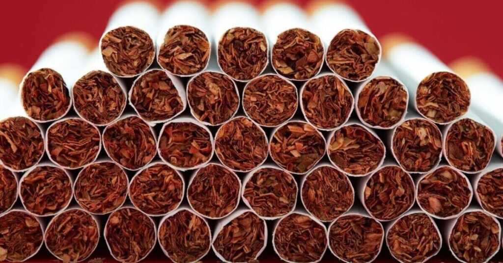 6980770c7b236 unmanufactured tobacco 020558927 16x9 1 e1788774006673