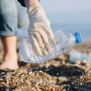 Beach cleaning e1789120806486