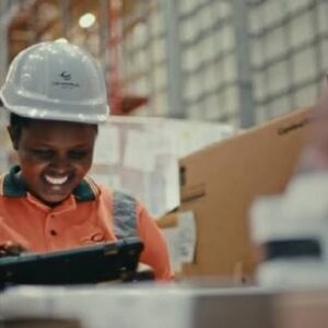 JOBS DP
