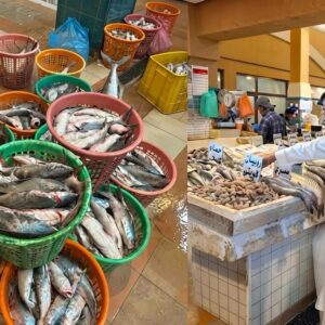 Kuwait food safety inspection and spoiled food seized in Ahmadi