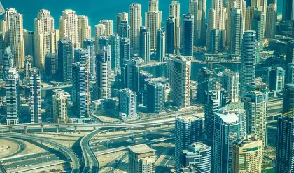 1000078132