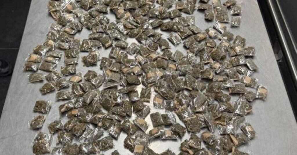 Kuwait Customs Foil Two Drug Smuggling Attempts കുവൈത്ത് വിമാനത്താവളത്തിൽ മയക്കുമരുന്ന് കടത്താനുള്ള രണ്ട് ശ്രമങ്ങൾ പരാജയപ്പെടുത്തി 1 452135 e1791010546932