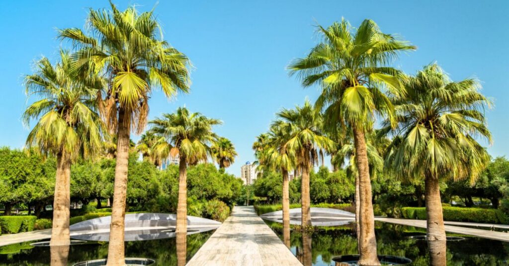 al rasheed park e1791552154897